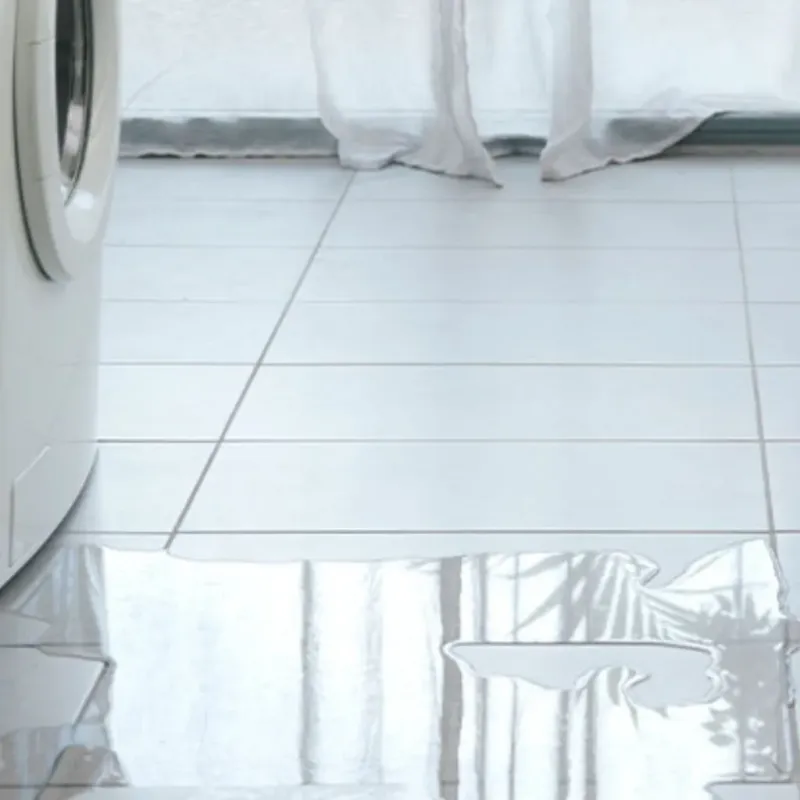 Appliance Leak Cleanup in Macon County, GA