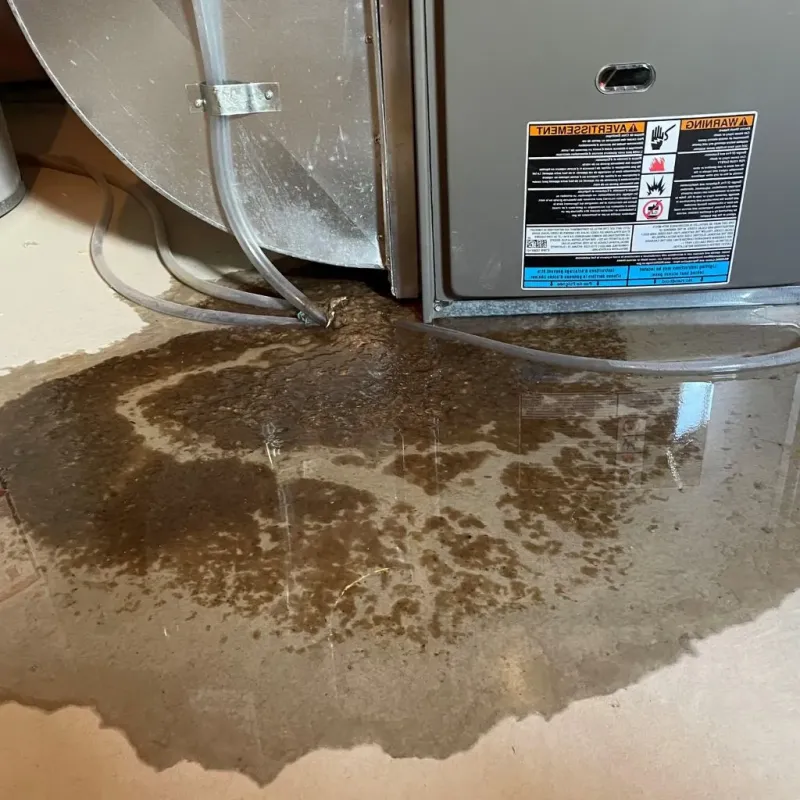 Pipe Burst and Leak Restoration in Macon County, GA