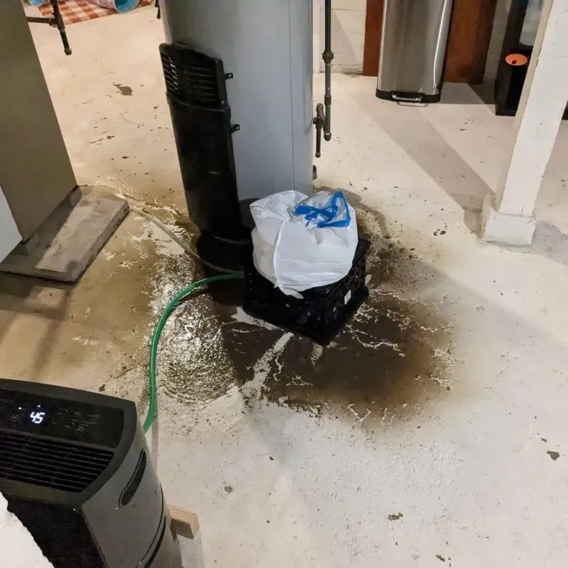 Sewage Backup Cleanup Service in Macon County, GA